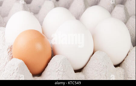 Cinque bianco e una marrone uova sul vassoio Foto Stock