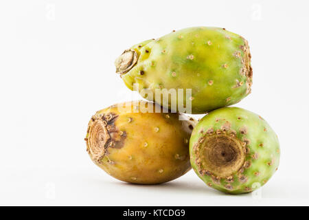 Tonno (Opuntia ficus-indica) Foto Stock