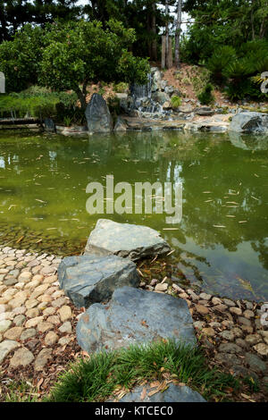 Nel giardino Giapponese - allo Zoo di Rockhampton & Giardini Botanici Foto Stock