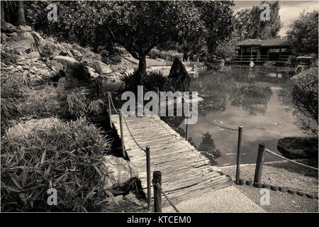 Nel giardino Giapponese - allo Zoo di Rockhampton & Giardini Botanici Foto Stock