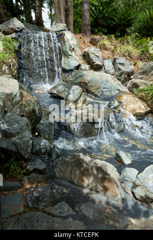 Nel giardino Giapponese - allo Zoo di Rockhampton & Giardini Botanici Foto Stock