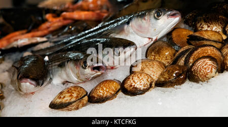 Frutti di mare raffreddamento su ghiaccio Foto Stock