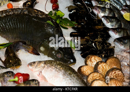 Frutti di mare raffreddamento su ghiaccio Foto Stock