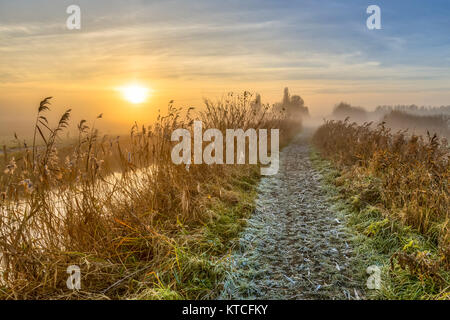 Via a piedi attraverso il pettine sul foschia mattutina durante il sunrise Foto Stock