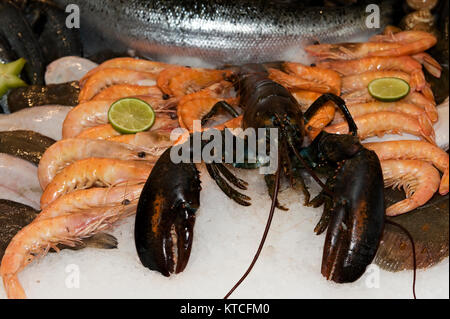 Frutti di mare raffreddamento su ghiaccio Foto Stock