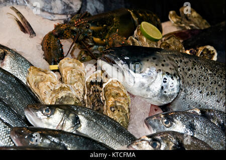 Frutti di mare raffreddamento su ghiaccio Foto Stock