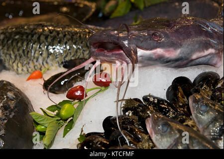 Frutti di mare raffreddamento su ghiaccio Foto Stock