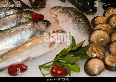 Frutti di mare raffreddamento su ghiaccio Foto Stock