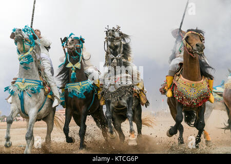 Tbourida festival equestre sincronizzati con cariche di cavalleria e moschetto sparando Foto Stock