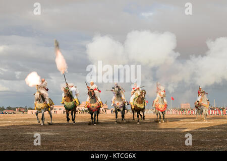 Tbourida festival equestre sincronizzati con cariche di cavalleria e moschetto sparando Foto Stock