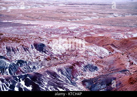 Neve sulla terra nel deserto dell'Arizona terra tra molla di amaro e pagina Foto Stock
