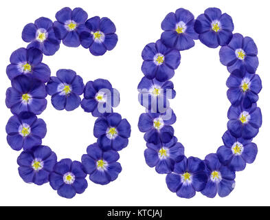 Numero arabo 60, sessanta, dai fiori blu di lino, isolato su sfondo bianco Foto Stock