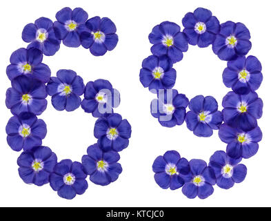 Numero arabo 69, sessanta nove, dai fiori blu di lino, isolato su sfondo bianco Foto Stock