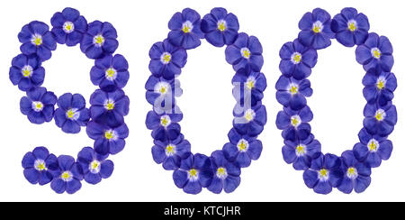 Numero arabo 900, nove cento, dai fiori blu di lino, isolato su sfondo bianco Foto Stock