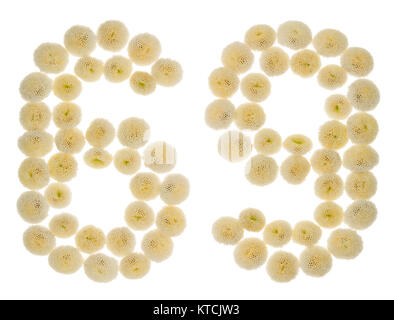 Numero arabo 69, sessanta nove, con crema di fiori di crisantemo, isolato su sfondo bianco Foto Stock