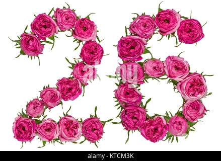 Numero arabo 26, ventisei, dal rosso dei fiori di rosa, isolato su sfondo bianco Foto Stock