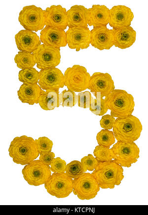 Numero arabo 5, 5, dal giallo dei fiori di ranuncolo, isolato su sfondo bianco Foto Stock