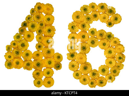 Numero arabo 46, quaranta sei, dal giallo dei fiori di ranuncolo, isolato su sfondo bianco Foto Stock