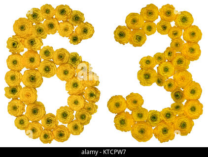 Numero arabo 63, sessanta tre, dal giallo dei fiori di ranuncolo, isolato su sfondo bianco Foto Stock