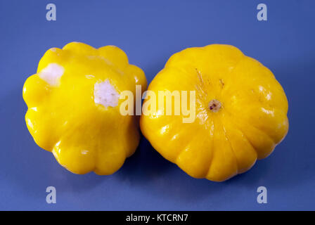 Due pattypans marinato sulla piastra. Chiudi immagine in alto Foto Stock