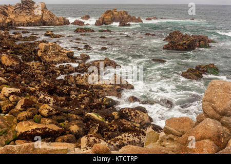 17-Mile Drive è una strada panoramica attraverso la spiaggia di ciottoli e Pacific Grove sulla penisola di Monterey in California, Foto Stock