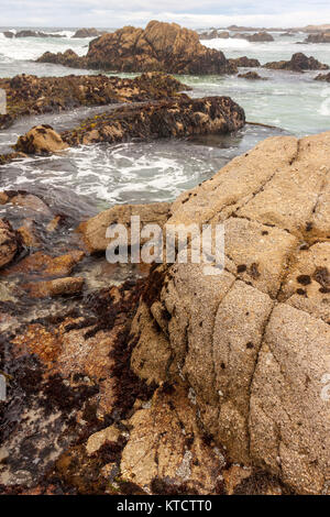 17-Mile Drive è una strada panoramica attraverso la spiaggia di ciottoli e Pacific Grove sulla penisola di Monterey in California, Foto Stock