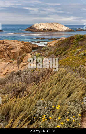 17-Mile Drive è una strada panoramica attraverso la spiaggia di ciottoli e Pacific Grove sulla penisola di Monterey in California, Foto Stock