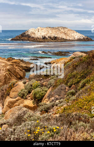 17-Mile Drive è una strada panoramica attraverso la spiaggia di ciottoli e Pacific Grove sulla penisola di Monterey in California, Foto Stock