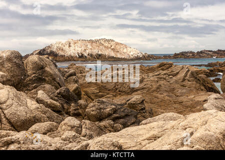 17-Mile Drive è una strada panoramica attraverso la spiaggia di ciottoli e Pacific Grove sulla penisola di Monterey in California, Foto Stock