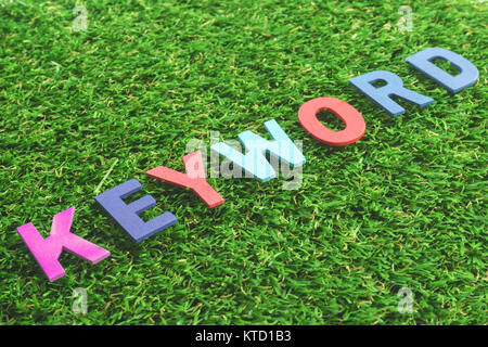 In legno colorato parola alfabeto parola chiave su erba verde sullo sfondo Foto Stock