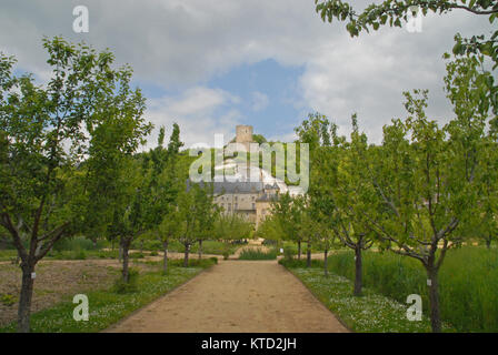 Château de La Roche-Guyon, Normandia, Francia Foto Stock