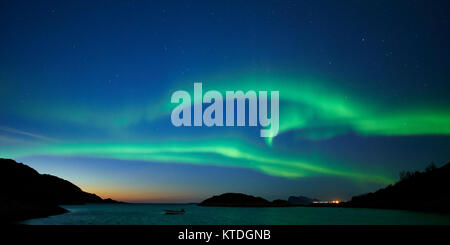 Aurora Boreale, luci del nord, oltre Laukvik, Lenvik, Senja, Troms, Norvegia Foto Stock