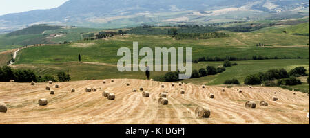 Toscana-maggio 31:balle di fieno e colline in Val d' Orcia,Toscana,l'Italia,su maggio 31,2017. Foto Stock