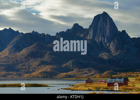 Il Reka su Langoya, Sortland, Nordland, Norvegia Foto Stock