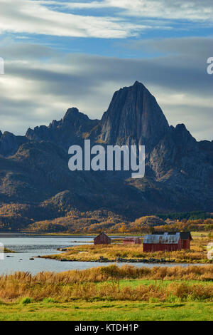 Il Reka su Langoya, Sortland, Nordland, Norvegia Foto Stock