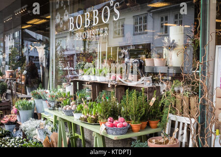 Kristansand, Norvegia, Dicembre 22, 2017: fiori fuori Bobbos Blomster, un negozio di fiori in Kristiansand City Foto Stock