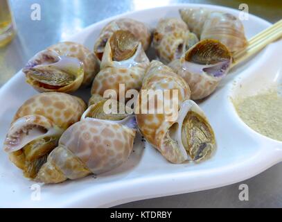 Fried conch close up su piastra Foto Stock