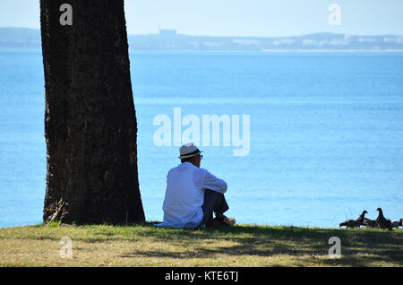 Uomo seduto da solo che guarda all'oceano sotto l'ombra di un albero Foto Stock