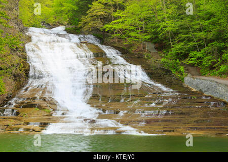 Latticello Falls State Park, Itaca, Finger Lakes, New York, Stati Uniti d'America Foto Stock