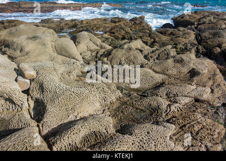 Tafoni, formazioni rocciose di arenaria erose, tafoni, sulla costa di Gibilterra, Algeciras, Spagna. Foto Stock