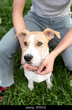 Carino giovane cane seduto accanto a amica umana Foto Stock