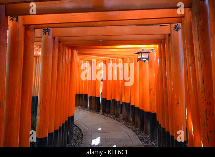 Torii gate a Fushimi Inari Shrine in Kyoto, Giappone. Fushimi Santuario è ora conosciuto in tutto il mondo come uno dei più celebri attrazioni turistiche di Kyoto. Foto Stock