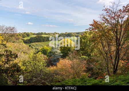 Vista sulle colline del Surrey Area di straordinaria bellezza nazionale in una limpida giornata di sole in autunno con cielo blu e nuvole whispy Foto Stock