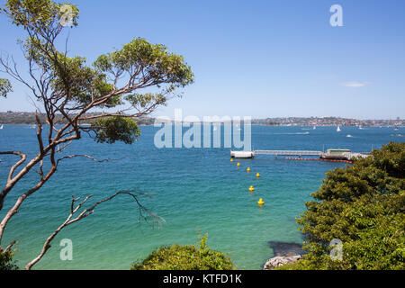 Chowder Bay è situato all'estremità sud del porto di Metà penisola, a nord di Sydney, Nuovo Galles del Sud, Australia Foto Stock