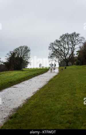 Londra, Regno Unito. 25 Dic, 2017. Regno Unito Meteo. La mattina presto per chi ama fare jogging e cane walkers faccia un avviamento a freddo con bagnato e condizioni blustery la mattina di Natale a Riddlesdown comune, in South London Borough of Croydon, vicino alla punta settentrionale del North Downs. Le temperature sono dovrebbe essere mite tutto il giorno, con venti in aumento durante il pomeriggio. Credito: Francesca Moore/Alamy Live News Foto Stock