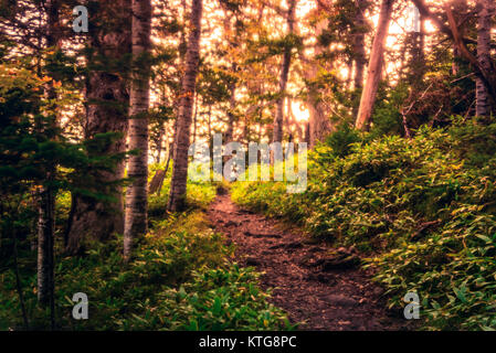 Un cupo di sera su Shireteko cinque laghi trail, Hokkaido, Giappone Foto Stock