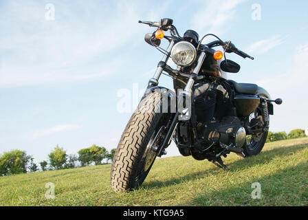 Harley Davidson 48 Sportster in campagna Foto Stock