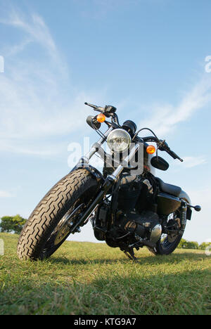 Harley Davidson 48 Sportster in campagna Foto Stock