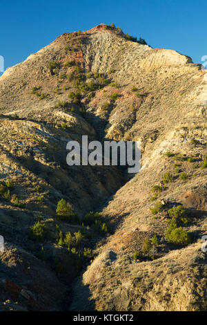 Terry Badlands, Terry Badlands Wilderness Area Studio, Montana Foto Stock