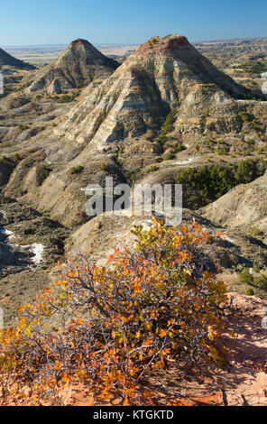 Terry Badlands dalla vista panoramica si affacciano, Terry Badlands Wilderness Area Studio, Montana Foto Stock